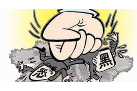 雅江企业清欠服务